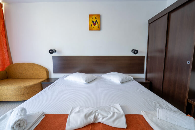 AVENUE HOTELS - Hotel RECIF Neptun Cameră Dublă