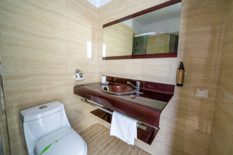 AVENUE HOTELS - Hotel RECIF Neptun Cameră Dublă Baie